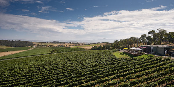 Aerial view of the Helen and Joey Estate winery